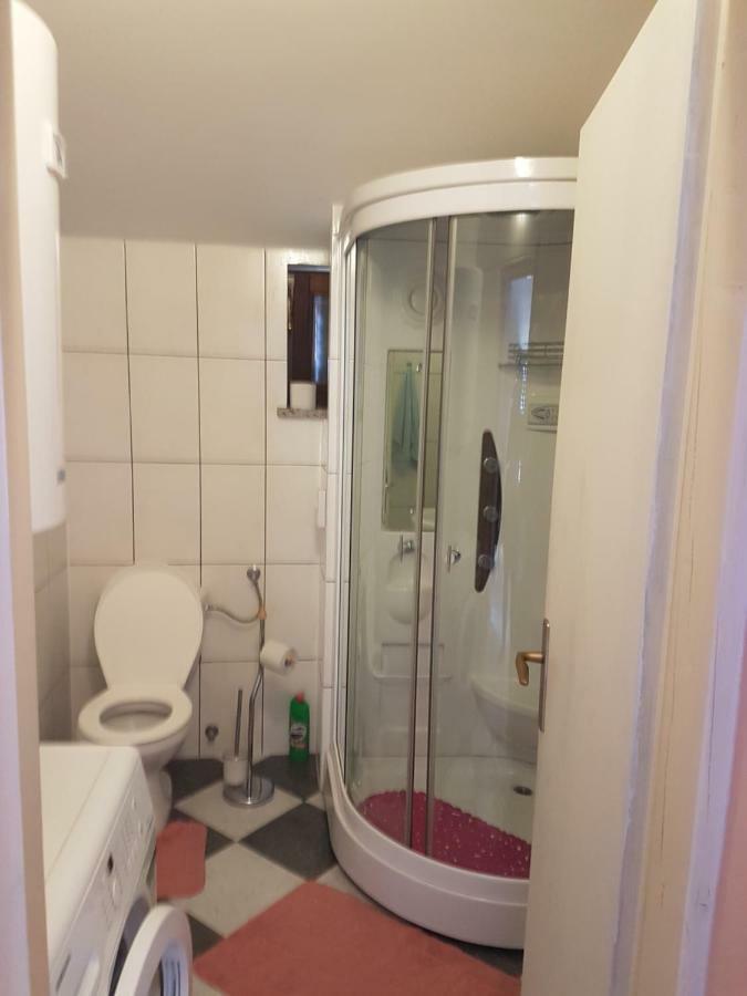 Apartman Vil Daire Sveti Vid-Miholjice Dış mekan fotoğraf